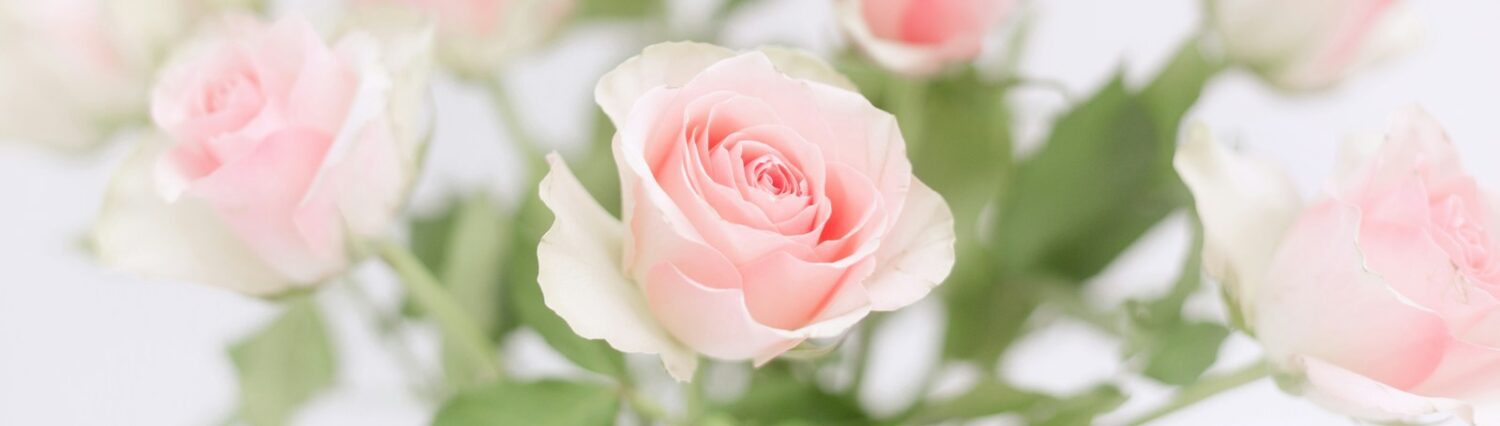 Radiant Beauty for You